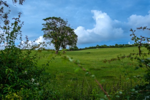 Landschaft Mullinavat